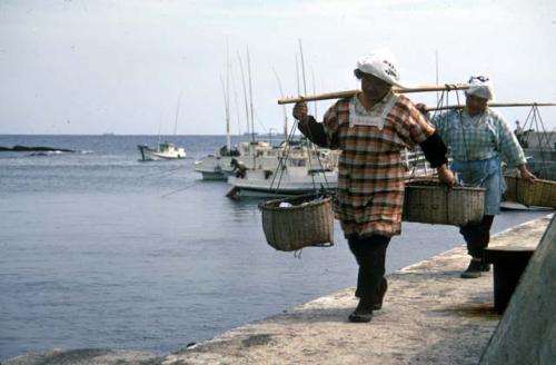 Fishing industry near Shirahama