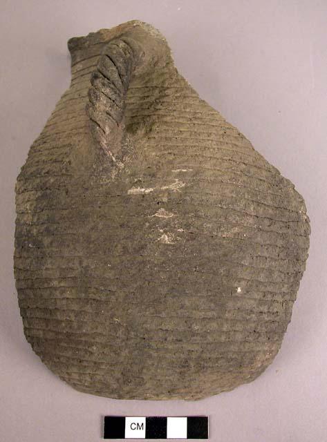 Fragments of medium-sized corrugated jar with vertical "twisted" handle just beneath rim