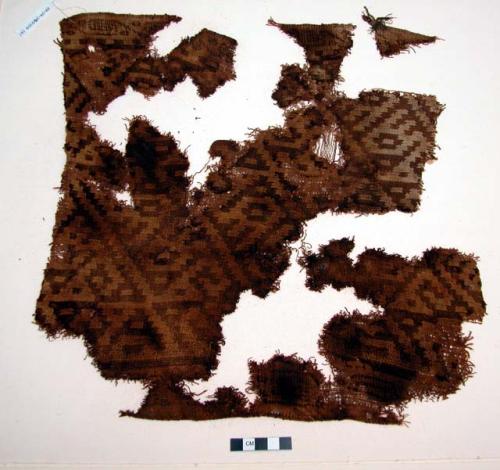 Textile, double cloth