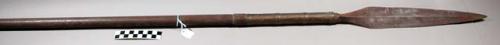 Assegai (spear) - wood, iron and brass; point 14", shaft 70 1/2"