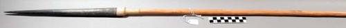 Wood spear, smoothed wood shaft, wood point joined to shaft by skin sheath 58 1/