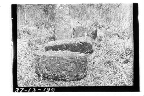 Altars and stela