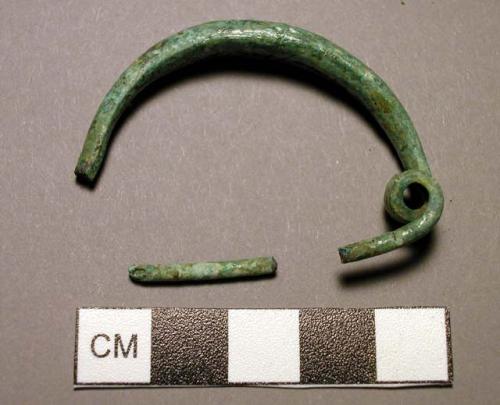 Fibula, double-loop