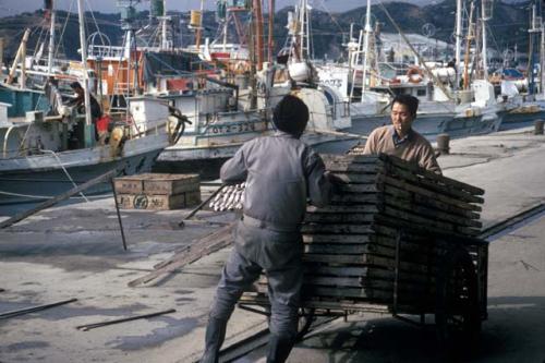 Boso Peninsula, fishermen with fish drying racks