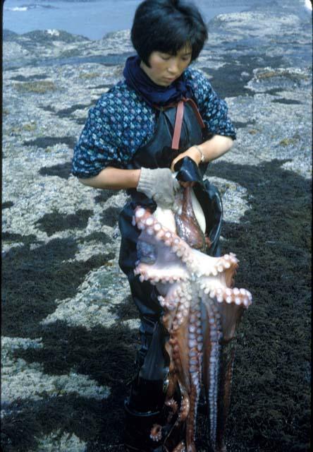 Samanai, woman with caught octopus