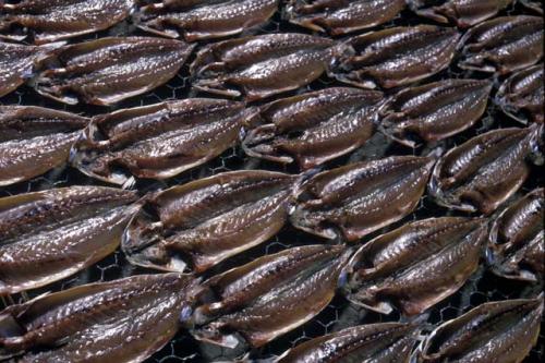 Drying fish