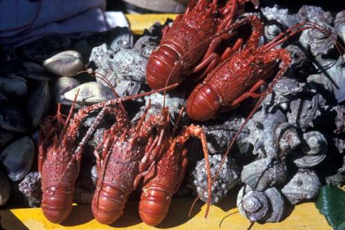 Oshima Island, seafood on sale at market