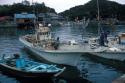 Muroto-Anan-Kaigan, fishing village, squid-catching boats