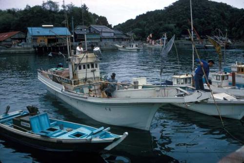 Muroto-Anan-Kaigan, fishing village, squid-catching boats