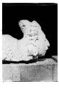 Sculpture: "Singing Girl" type head found March 1st. Specimen No. 37-27. (Front