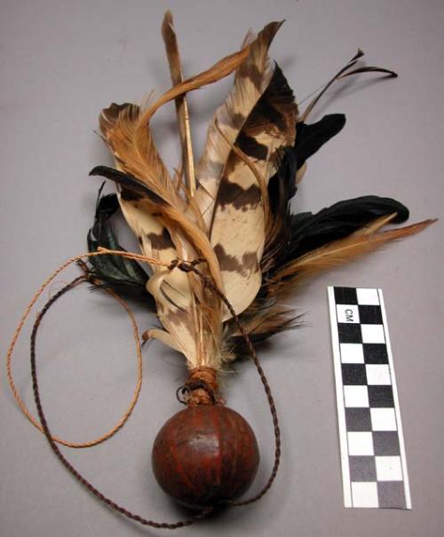 Forehead dance ornament - gourd and feathers