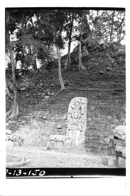 General view of Stela N