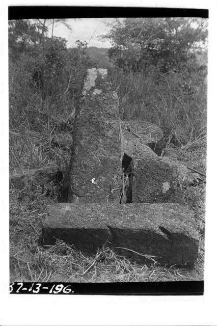 New stela, looking south