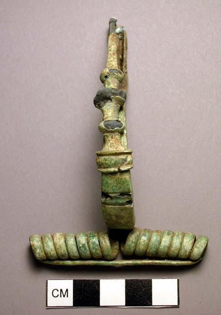 Fibula