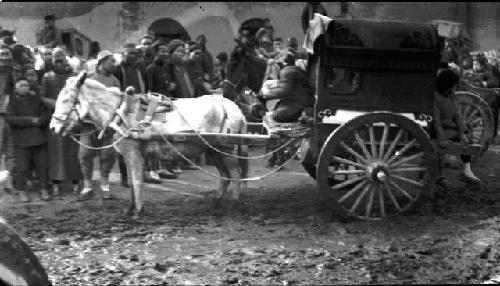 Pony pulling cart