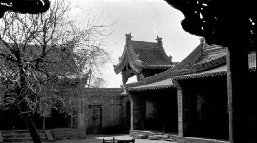 Courtyard of building with tree