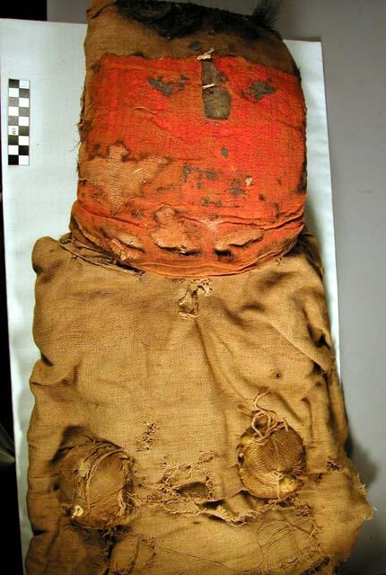 Mummy mask and torso, woman