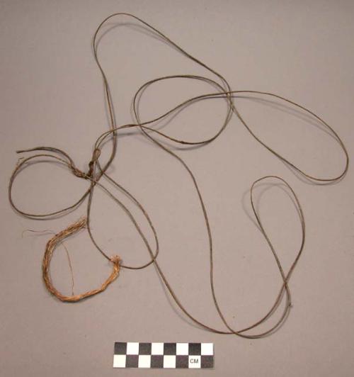 Cord, twisted fiber, one large loop, tied, one loosely twisted fragment