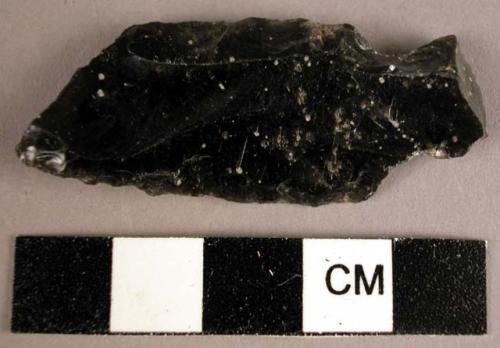 Obsidian biface, stemmed