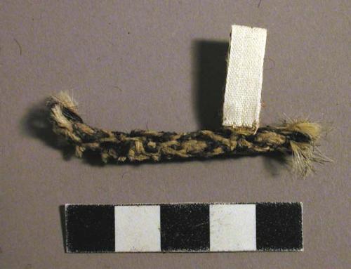 Braid, camelid, fragment