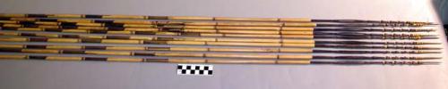 Fighting arrows - bamboo shafts; palm wood points barbed & bound with +