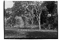 General view of Court of Hieroglyphic Stairway after 1940 season