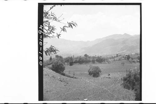 Looking S.E. from mound 5