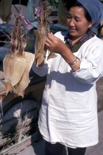 Seafood, dried squid for sale
