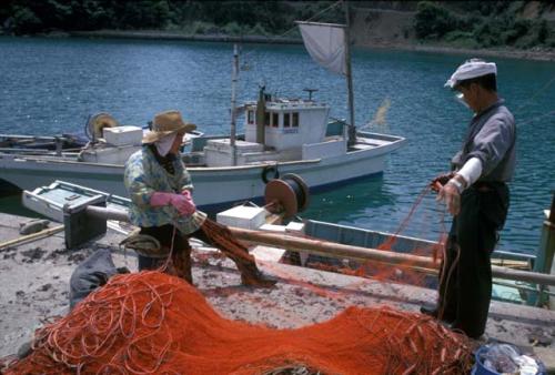 Sendai, fishermen loading nets