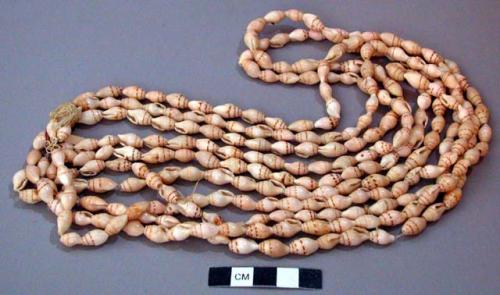 Multiple strands of shell beads