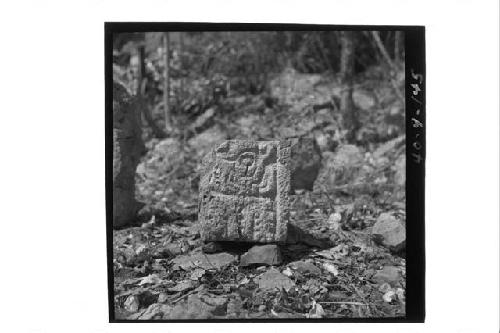 Glyphic Lintel Bldg. stone from left (?) jamb.