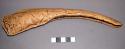 CAST of: bison or ox engraved on bone 24 cm long
