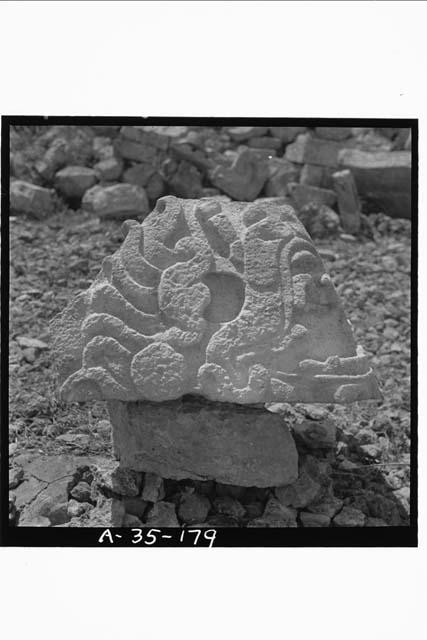 East side of serpent head, molding of room 2, Structure 2C6 (Casa 1)