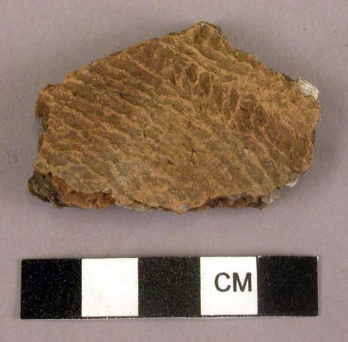 Ceramic body sherd, cord-marked