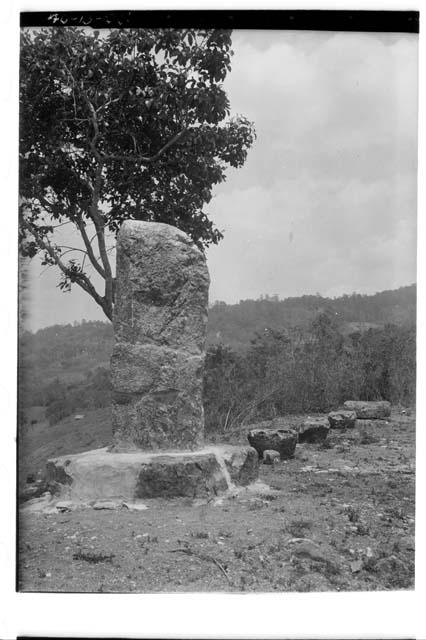 Uncarved stela with Altar 14 in background