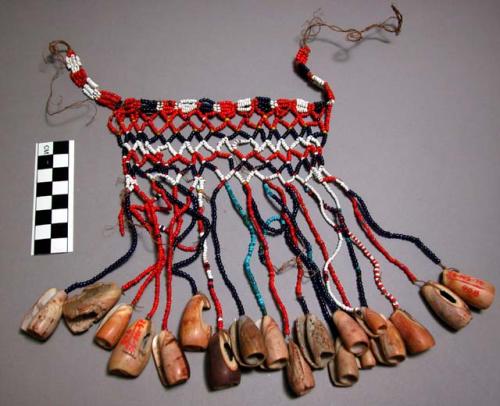 Breast ornament - used for dances, made of shells and colored beads