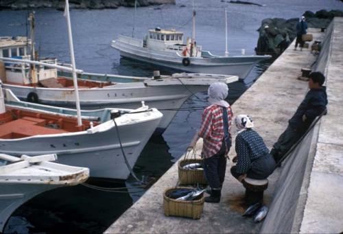 Fishing industry near Shirahama