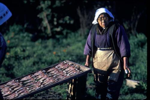 Fish drying