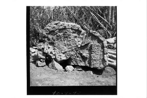 Stela 9 - bottom panel.