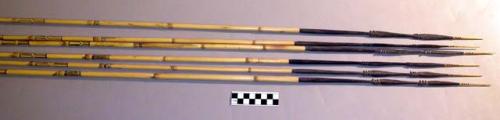 Fighting arrows - bamboo shafts; palm wood points, barbed; tips bound +