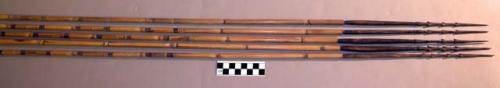Hunting arrows - bamboo shafts; barbed palm wood points