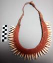 Necklace ornamented with teeth