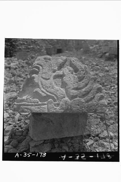 Sculptured serpent head from molding, room 2, Structure 2C6 (Casa 1)