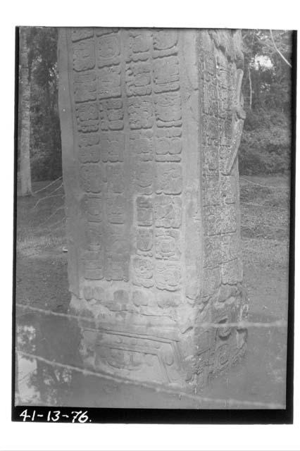 Stela J; showing fungus growth, N-E corner