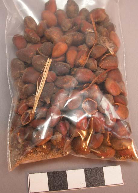 Pinon nuts