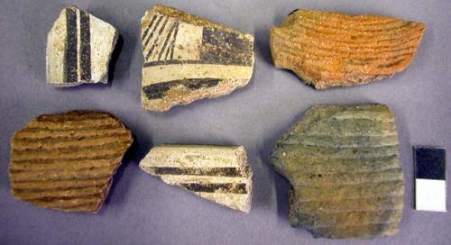 Surface sherds