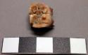 Faunal tooth, possible pig