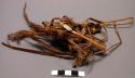 Fragments of yucca ties