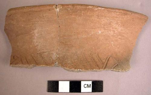 Fragment of rim incised olla