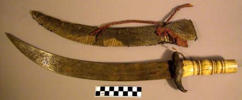 Sword with lizard sheath and ivory handle